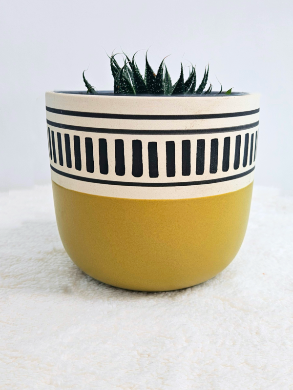 MACETA CERAMICA - VERDE CON BLANCO - Imagen 3