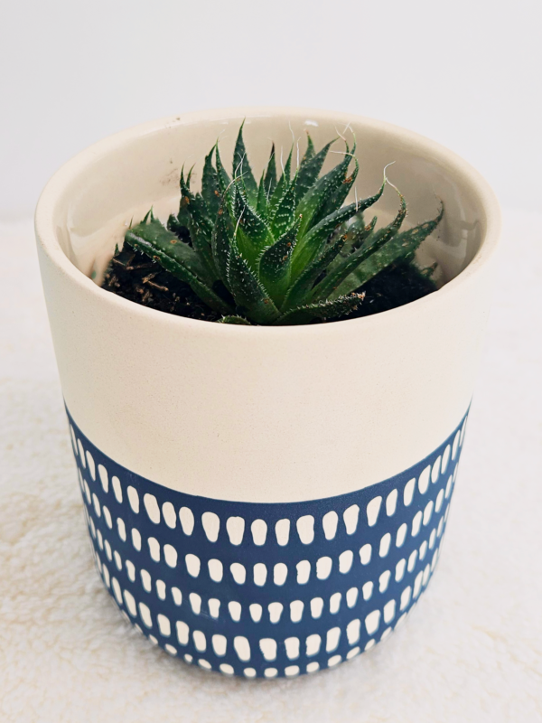MACETA CERAMICA - AZUL CON BLANCO - Imagen 2