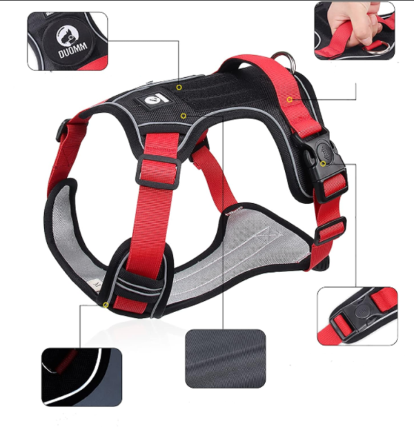 PECHERA PARA PERROS VARIADA - Imagen 2