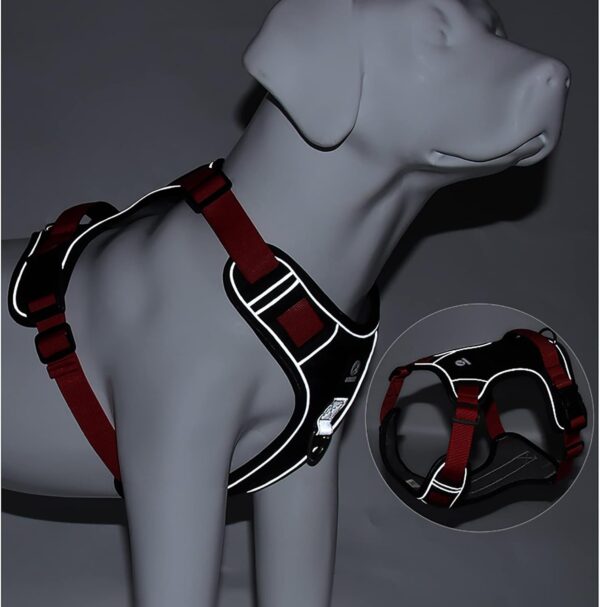 PECHERA PARA PERROS VARIADA - Imagen 3