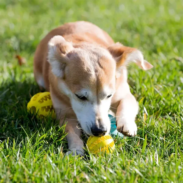 PELOTA PEQUEÑA PARA MASCOTA